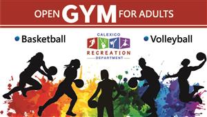 Adult Open Gym Punch Card